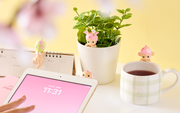 HIPPERS Cherry Blossom Series - Gift Accent