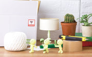 SMISKI Moving Series - Shelf Ready