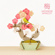 Play Plants Bonsai Puzzles - Shelf Ready