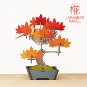 Play Plants Bonsai Puzzles - Classic Pick