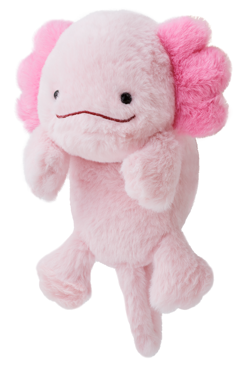 Posture Pal - Collector Charm