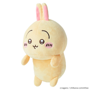 Posture Pal - CHiiKAWA - Gift Ready