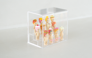 Sonny Angel Acrylic Display Case - Desk Accent