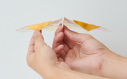 Papillon Origami Airplanes - Collector Pick