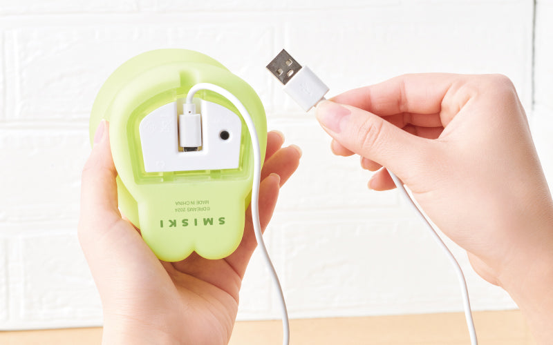 SMISKI Touch Light - Studio Light