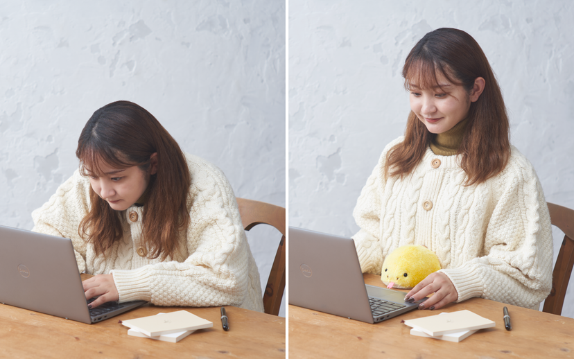 Posture Pal - Blind Box Choice