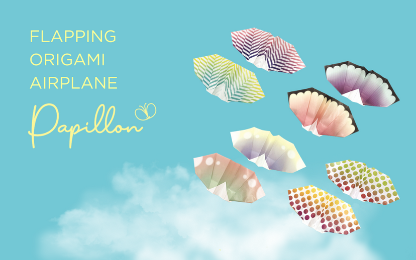 Papillon Origami Airplanes - Daily Choice
