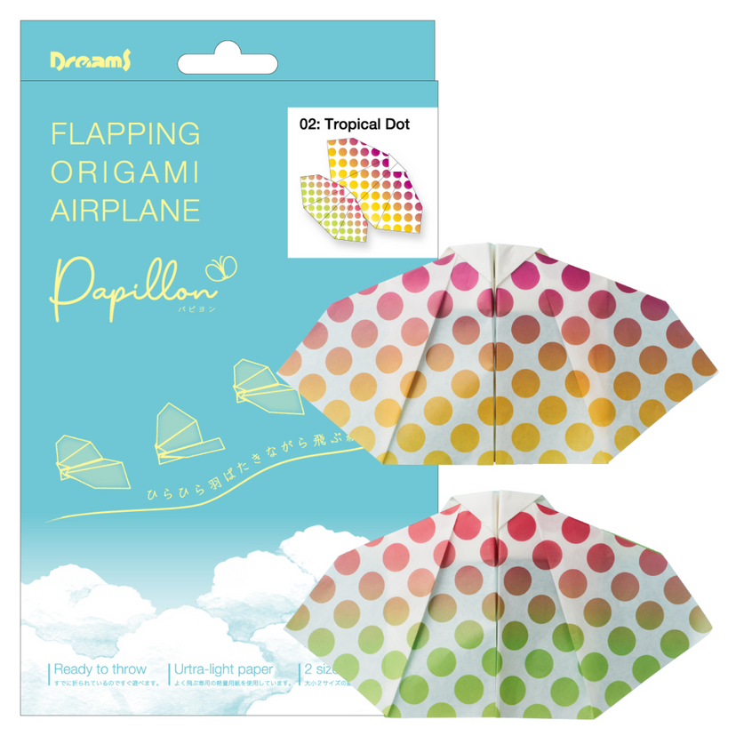 Papillon Origami Airplanes - Daily Choice