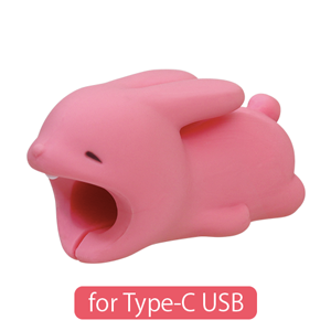 CABLE BITE for Type-C USB - Daily Choice